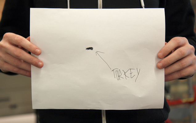 Illustration for article titled We Asked 12 Vegetarians To Draw A Picture Of A Turkey And This Is What They Came Up With
